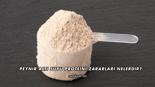 Peynir Altı Suyu Proteini Zararları Nelerdir?