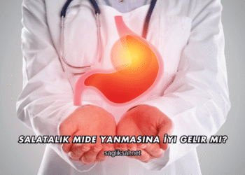 Salatalık Mide Yanmasına İyi Gelir mi?