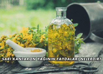 Sarı Kantaron Yağının Faydaları Nelerdir?