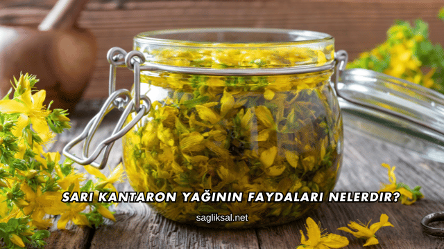 Sarı Kantaron Yağının Faydaları Nelerdir?