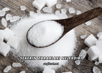 Şekerin Zararları Nelerdir?