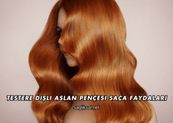Testere Dişli Aslan Pençesi Saça Faydaları