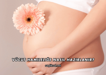 Vücut Hamileliğe Nasıl Hazırlanır?