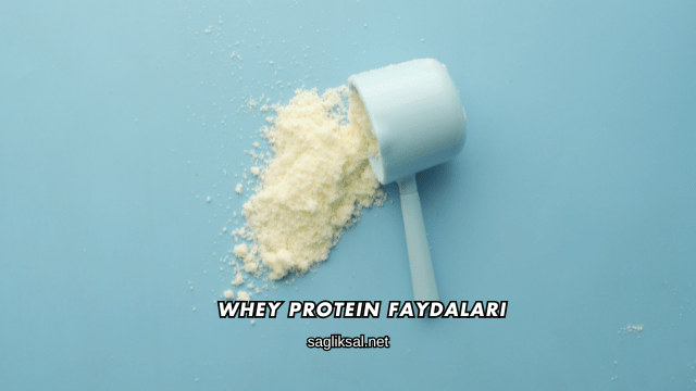 Whey Protein Faydaları