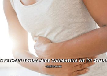 Yemekten Sonra Mide Yanmasına Ne İyi Gelir?