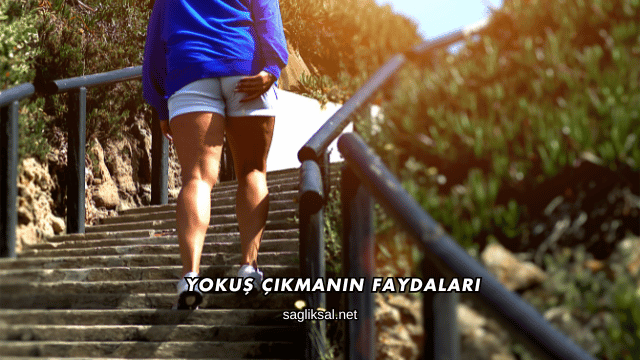 Yokuş Çıkmanın Faydaları