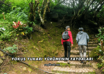 Yokuş Yukarı Yürümenin Faydaları