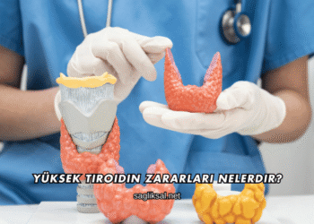 Yüksek Tiroidin Zararları Nelerdir?