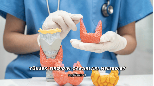 Yüksek Tiroidin Zararları Nelerdir?