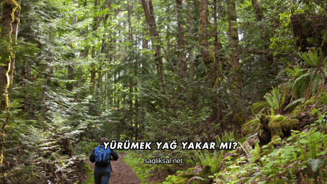 Yürümek Yağ Yakar mı?