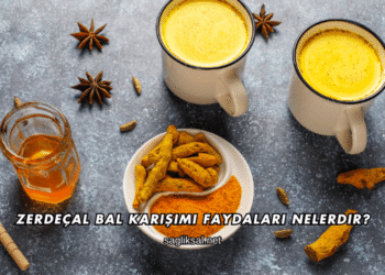 Zerdeçal Bal Karışımı Faydaları Nelerdir?