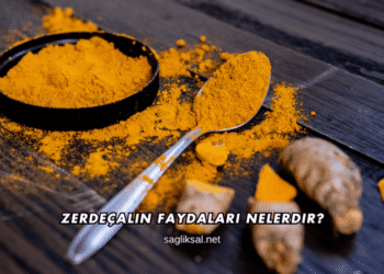 Zerdeçalın Faydaları Nelerdir?